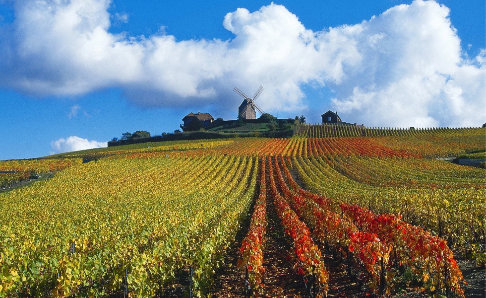 Champagne Ardennes dans l