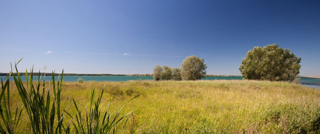 Les lacs de la forêt d