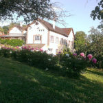 Gîte de groupe au Moulin dans l'Aube près de Paris, le parc du moulin